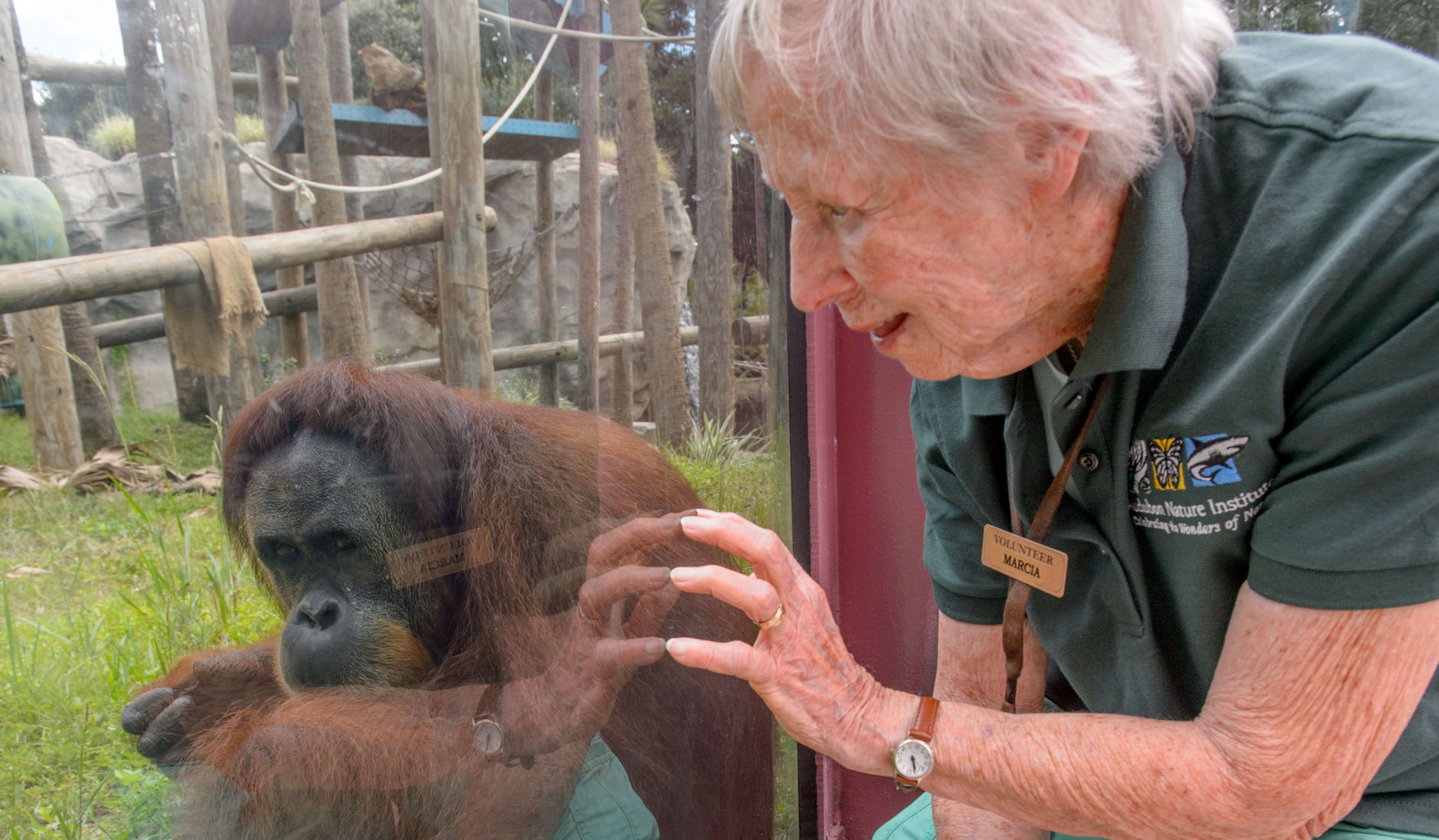 NO.primate.epl.090317.001.JPG